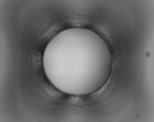 X0000091090174200708201506