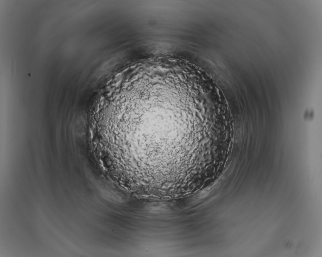 X0000091090175200708201506