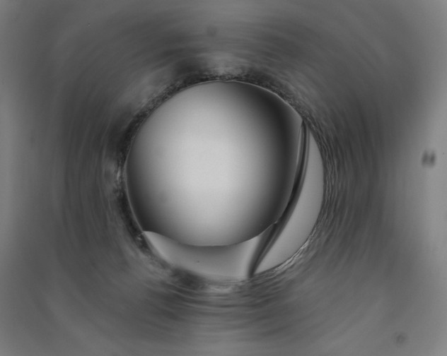 X0000091090176200708201506