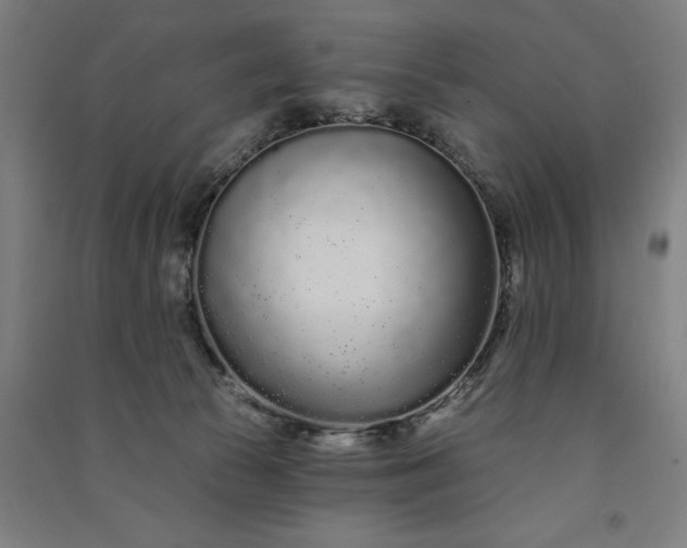 X0000091090177200708201506