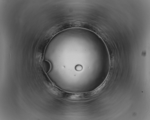 X0000091090178200708201506