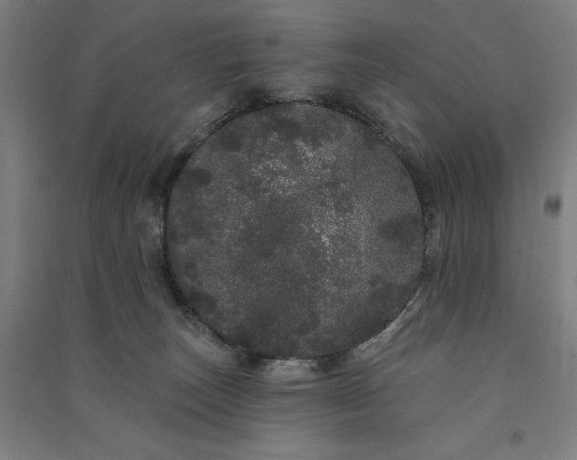 X0000091090179200708201506