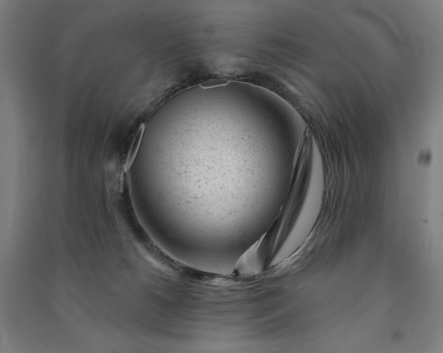 X0000091090180200708201506