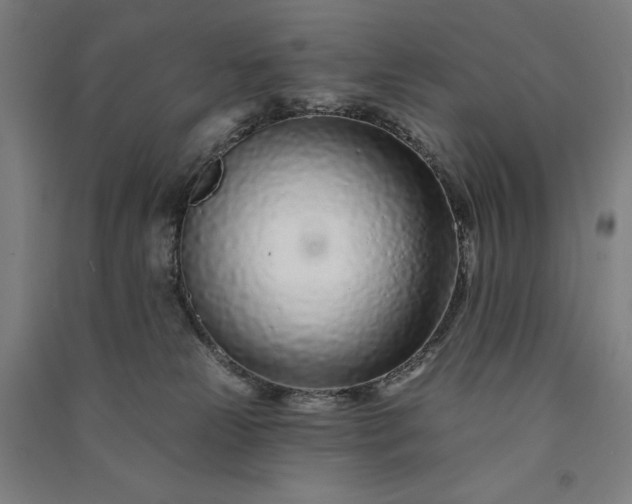 X0000091090181200708201506