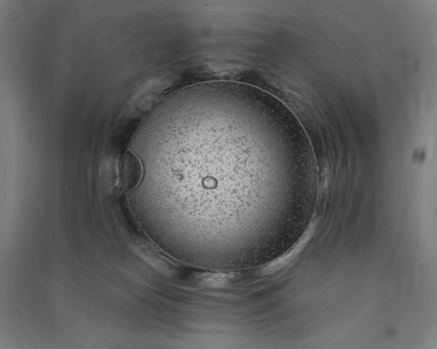 X0000091090182200708201506