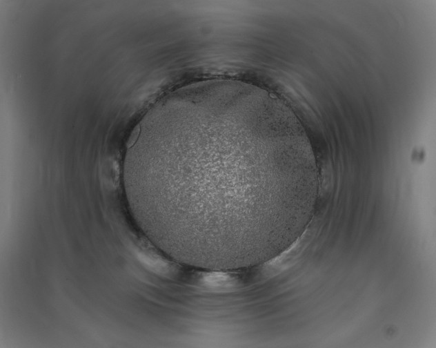 X0000091090183200708201506