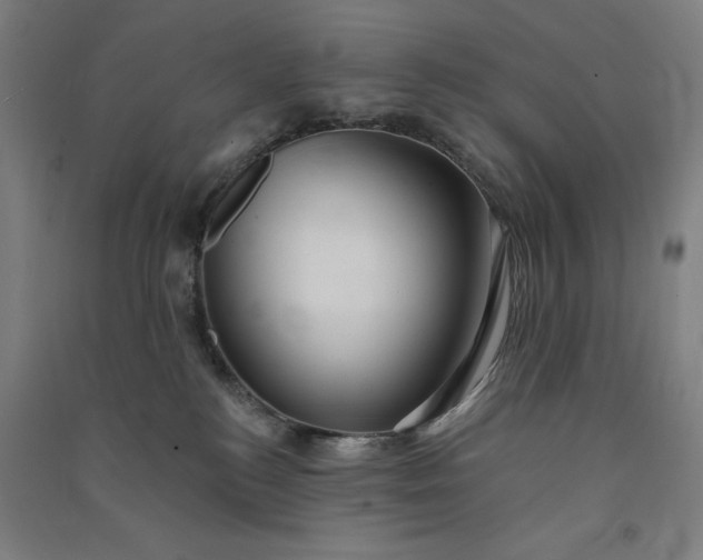 X0000091090184200708201506