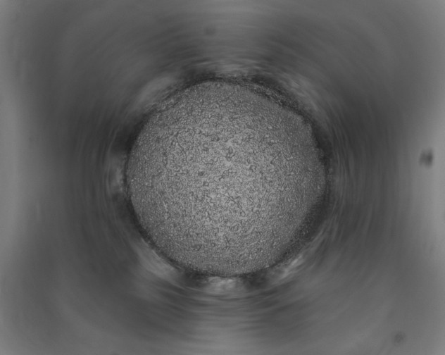 X0000091090185200708201506