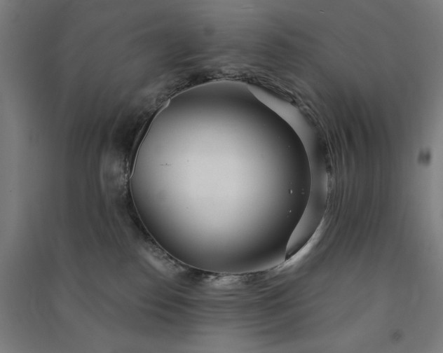 X0000091090186200708201506