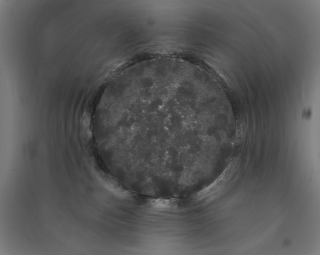 X0000091090187200708201506