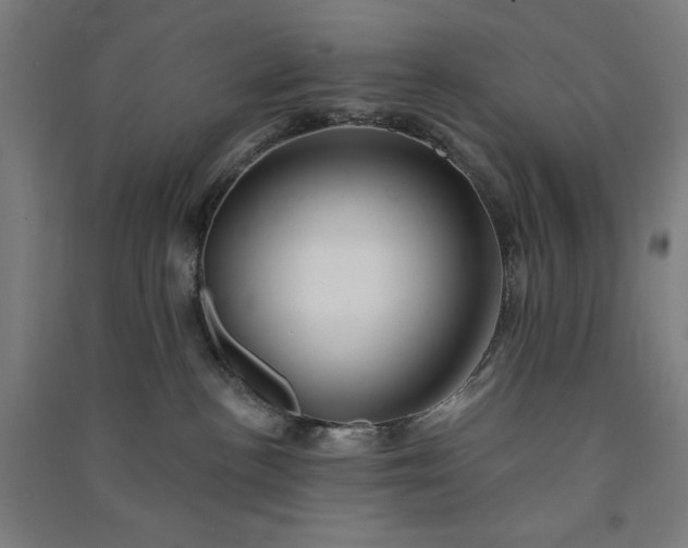 X0000091090188200708201506