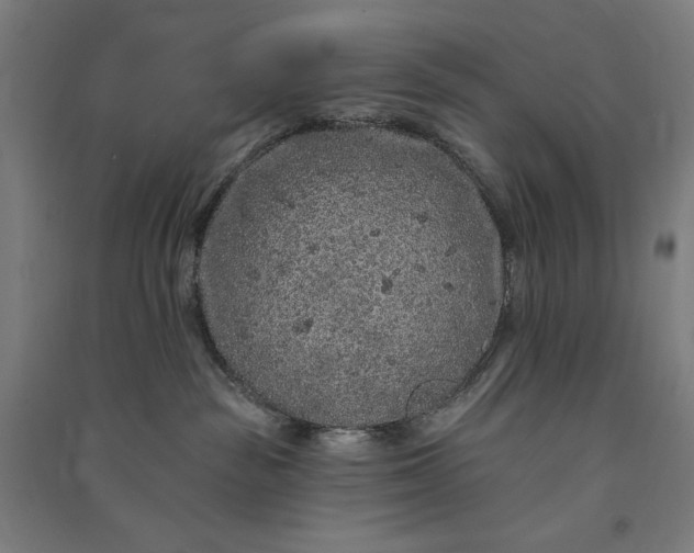 X0000091090189200708201506