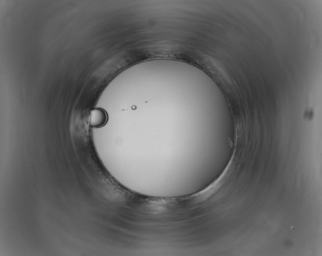 X0000091090190200708201506