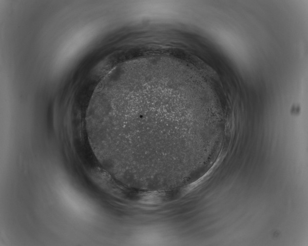 X0000091090191200708201506