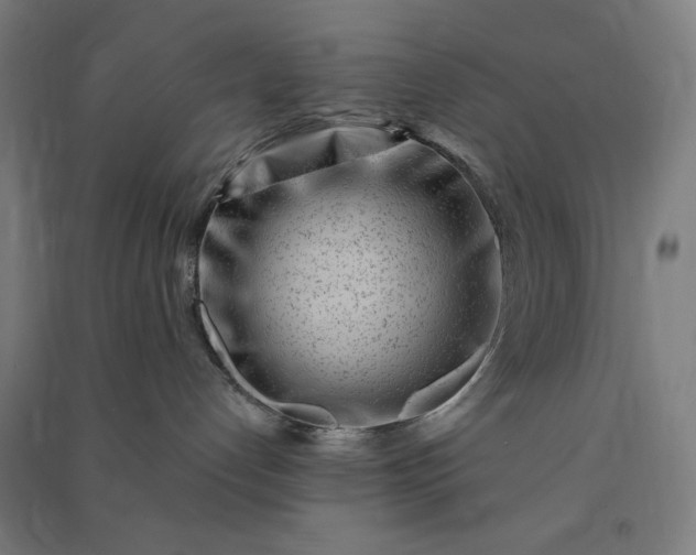 X0000091090192200708201506