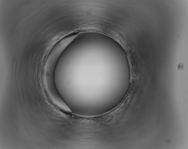 X0000091090193200708201505