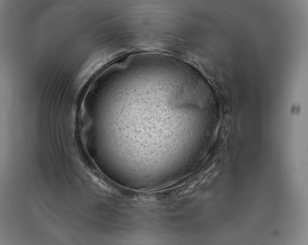 X0000091090194200708201505