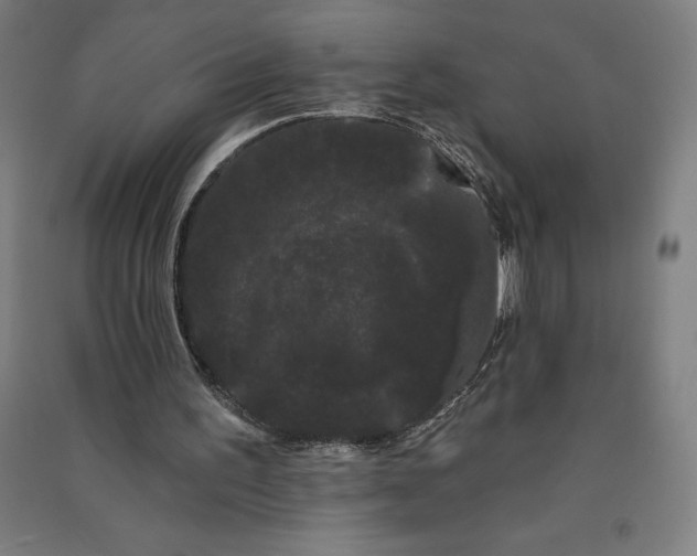 X0000091090195200708201505