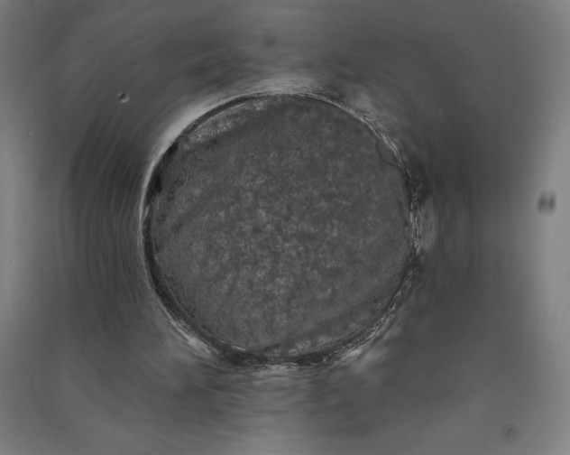 X0000091090196200708201505