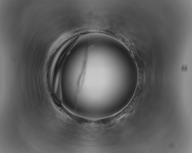 X0000091090197200708201505