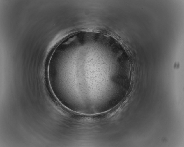 X0000091090198200708201505