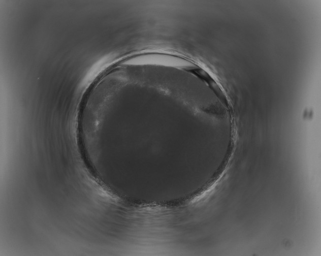 X0000091090199200708201505