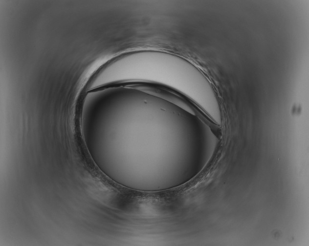 X0000091090200200708201505