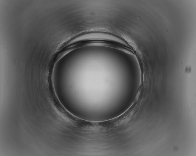 X0000091090201200708201505