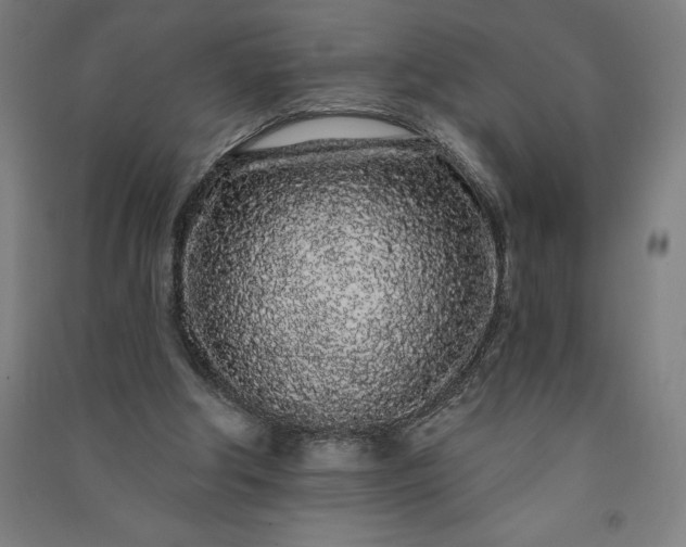 X0000091090202200708201505