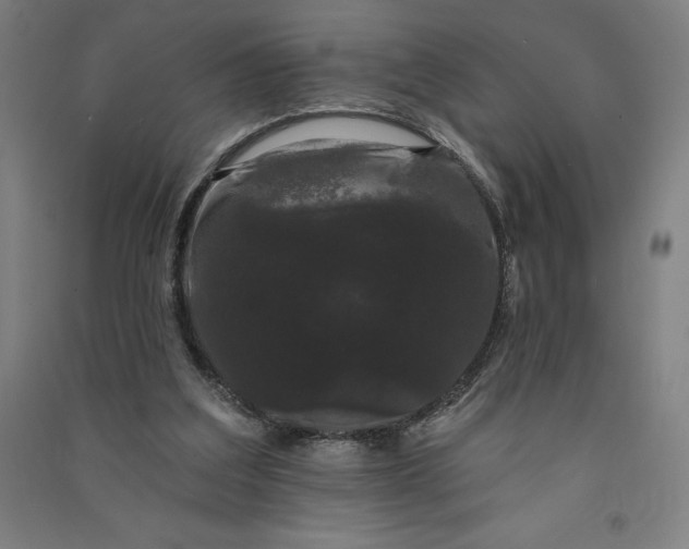 X0000091090203200708201505