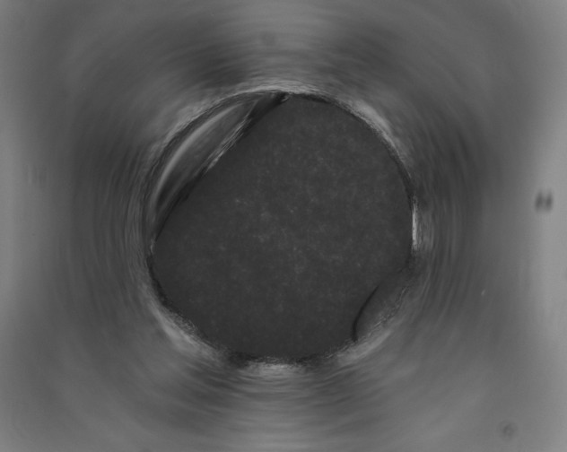 X0000091090205200708201505