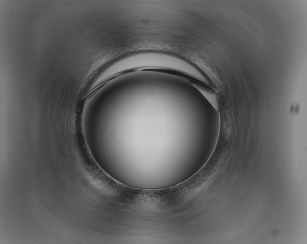 X0000091090207200708201505