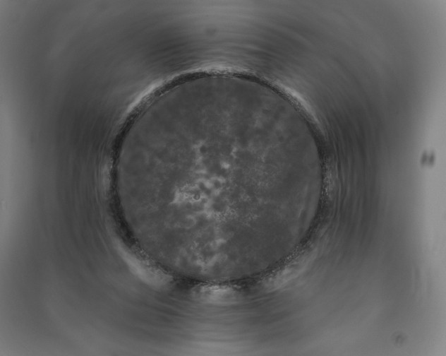 X0000091090208200708201505