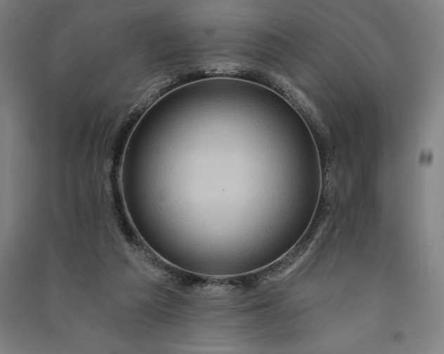 X0000091090209200708201505