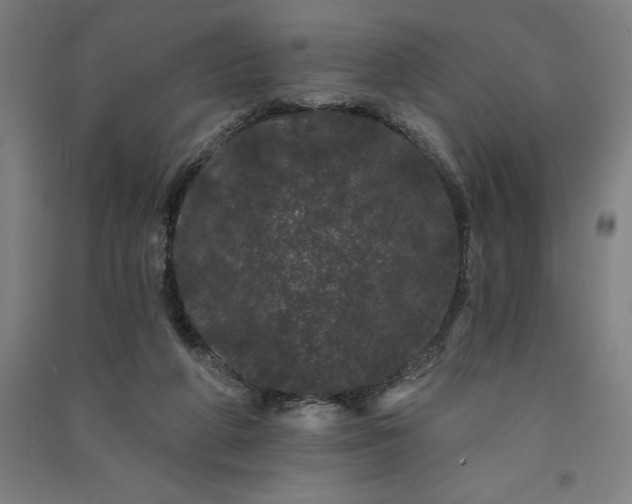 X0000091090210200708201505