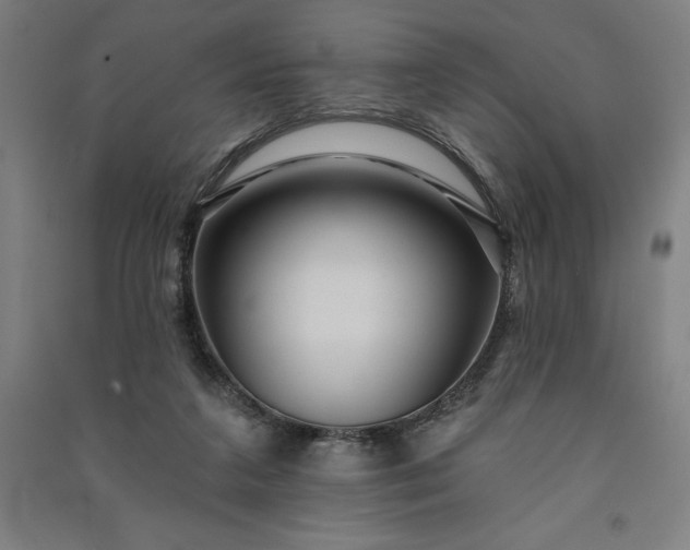 X0000091090211200708201505