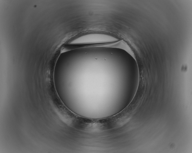 X0000091090212200708201505