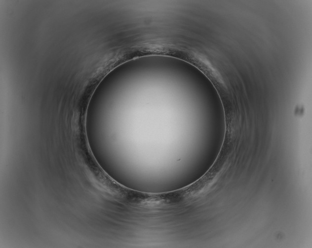 X0000091090213200708201505