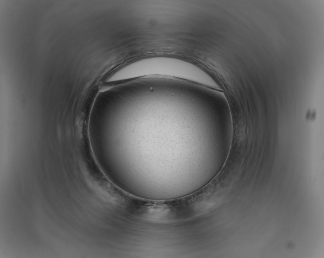 X0000091090214200708201505