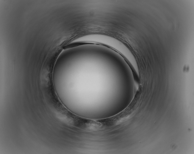 X0000091090215200708201505