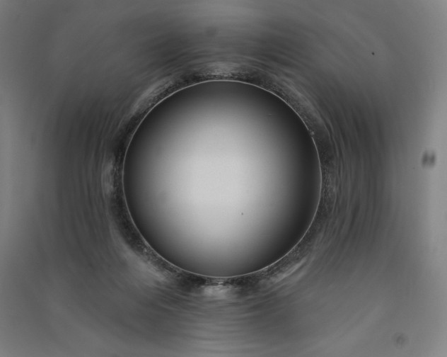 X0000091090216200708201505