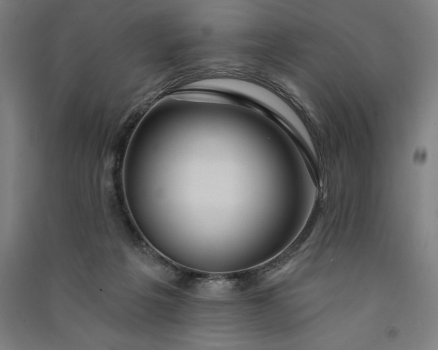 X0000091090217200708201505