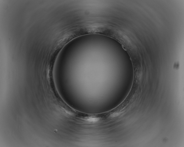 X0000091090219200708201505