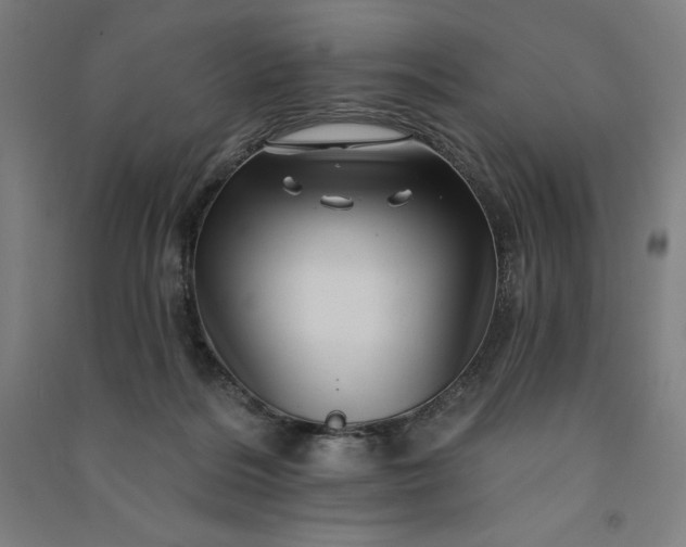 X0000091090220200708201505