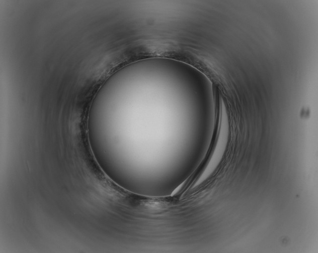 X0000091090221200708201505