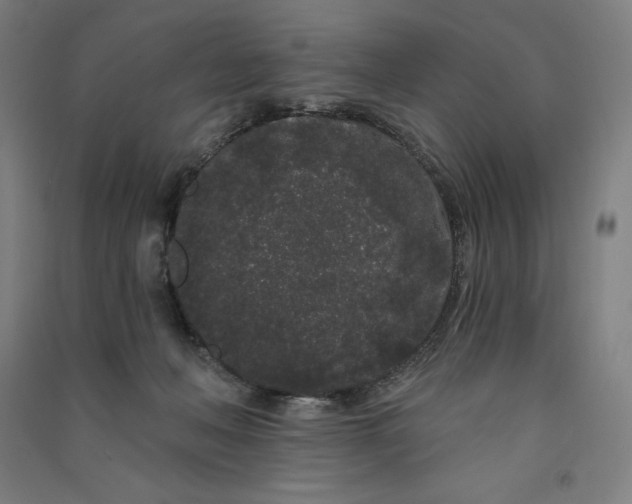 X0000091090222200708201505