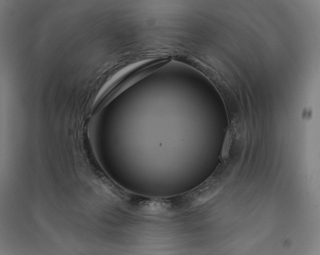 X0000091090223200708201505