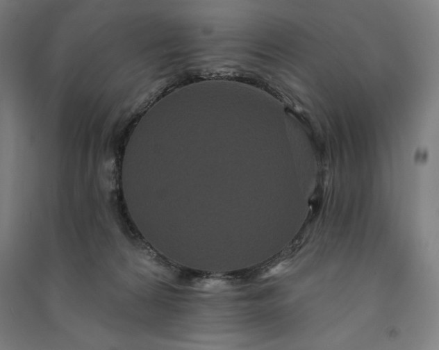 X0000091090224200708201505