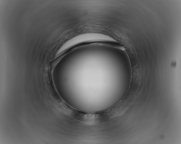 X0000091090225200708201505