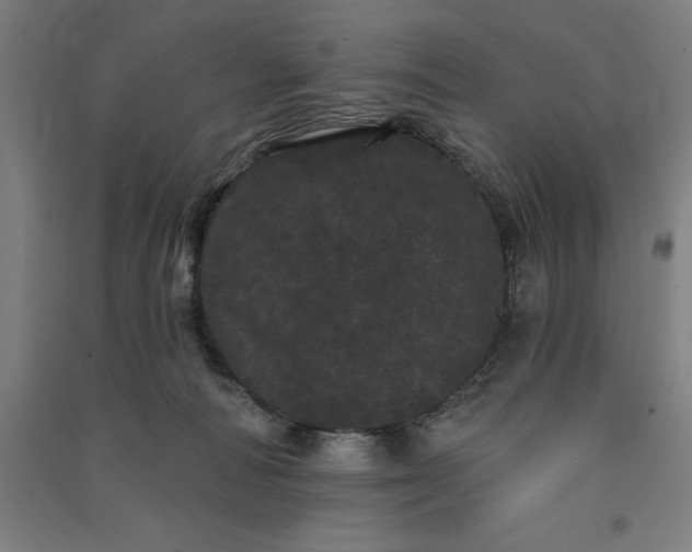 X0000091090226200708201505